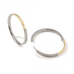 Creolen rund teil-goldplatiert