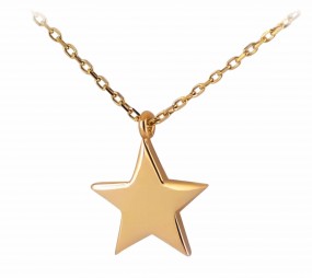 Stern Anhänger Gold 585 Sternenkette Goldkette gelbgold Schmuck