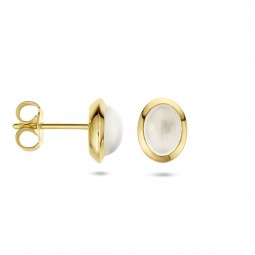 Damen Gold Ohrstecker Mondstein 585 Gold