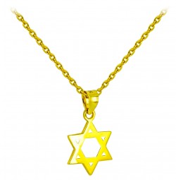 Davidstern Anhänger aus echt 14 Karat Gold 585