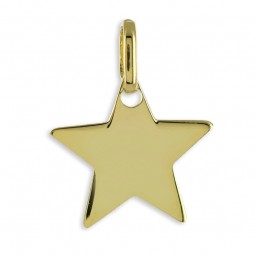 Anhänger Stern Echt Gold 333/000