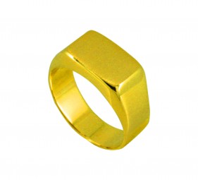 Herrenring in 585 er Gold