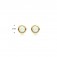 Gold Damen Ohrstecker echt Opal 585 Gold