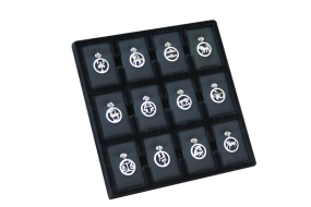 Sternzeichen Anhänger mit kette 925 Silber rund