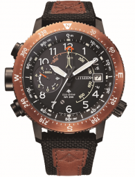 Citizen PROMASTER ALTICHRON | BN4049-11E