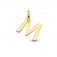 Klein Anhänger Buchstabe (M) 585 Gold