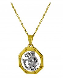 Gold Sternzeichen Wasserman-Anhänger in Gold 585