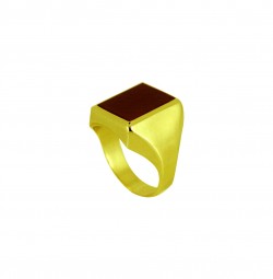Herrenring-Siegelring-Karneol-585/Gold-14kt